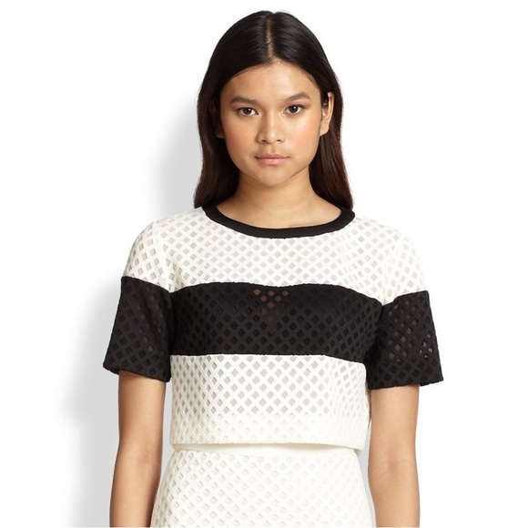 Elizabeth and James Leda Lattice Mesh Crop Top - Picture 9 of 10